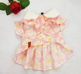 Đầm hoa cúc cho thú cưng