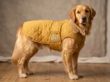 Tiêu Chuẩn Chất Lượng Pet Clothing Xuất Khẩu: REACH, OEKO-TEX, CPSIA Là Gì?